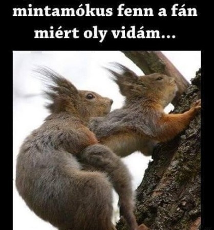 Végre megtudtuk, hogy a ...