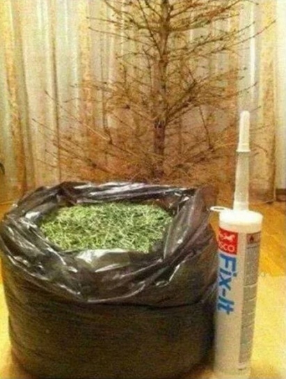 Ünnepi készülődés...