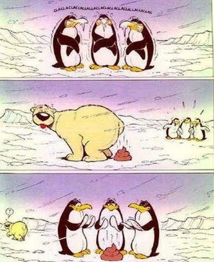 Egy újabb hűvös nap...