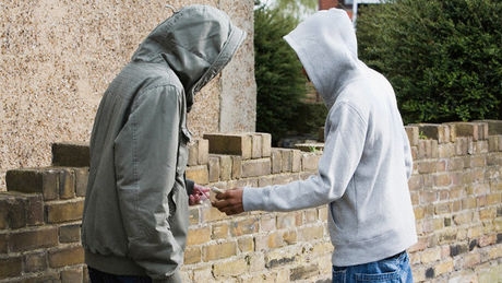 A menzareform nyertesei