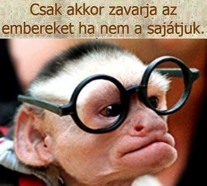 A siker olyan, mint a fing!