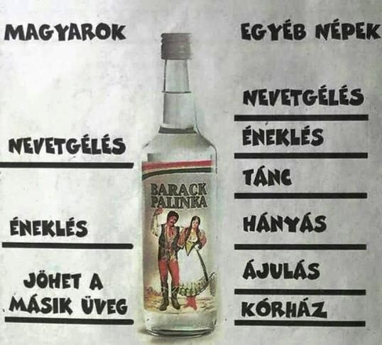 Hagyományos magyar gyümölcspárlat