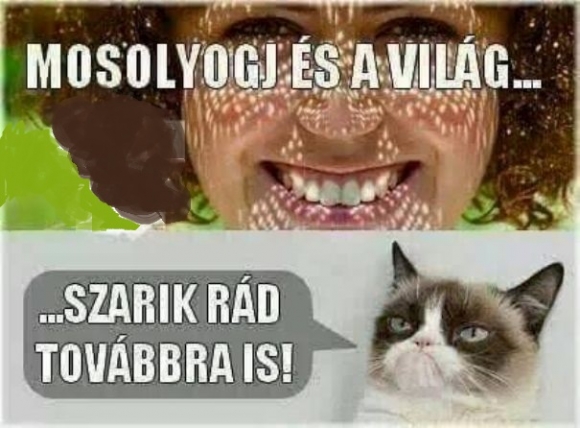 Napi szólás-mondás