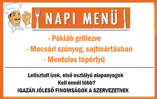 A Napiszar kifőzde mai ajánlata