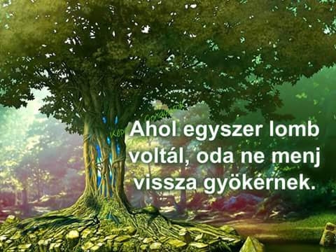 E heti jó tanácsunk