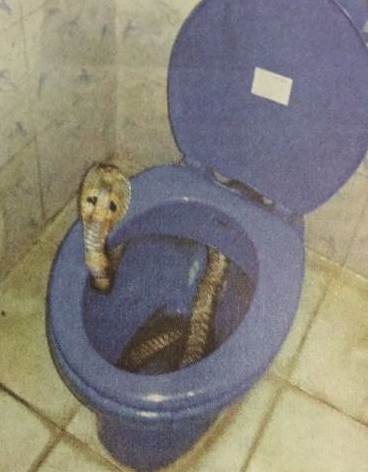 Ha azt hinnéd, rosszul indult a reggeled...