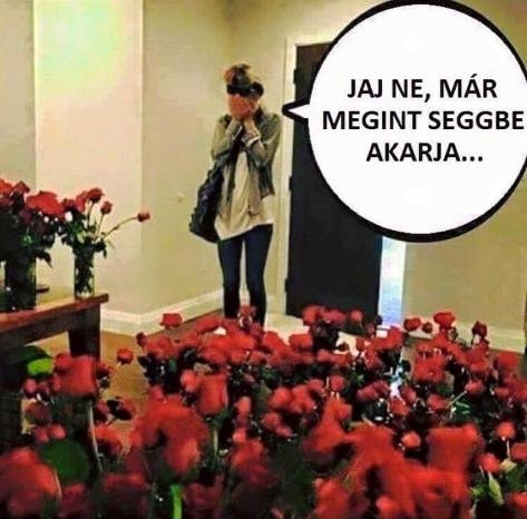 Ez drága menet lesz...