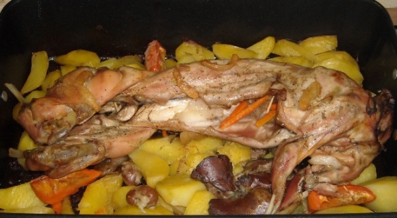 A kockásfülű nyúl