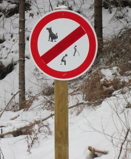 Sógorék így várnak...