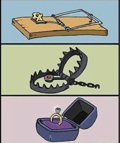 Három csapda, egy képen