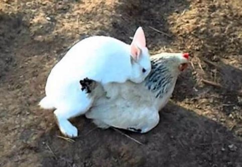 Már készülnek a húsvéti tojások!