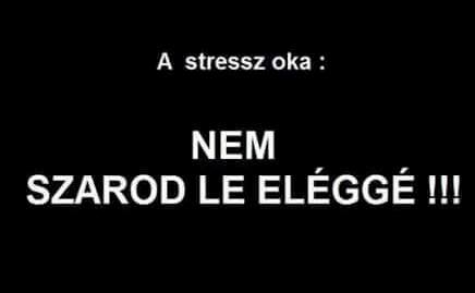 Pénteki bölcsesség