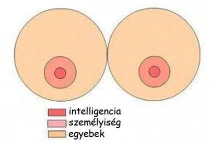 Amit a pasik valóban keresnek egy nőben