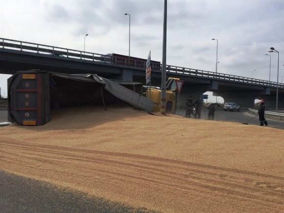 A kép címe - Korai magömlés