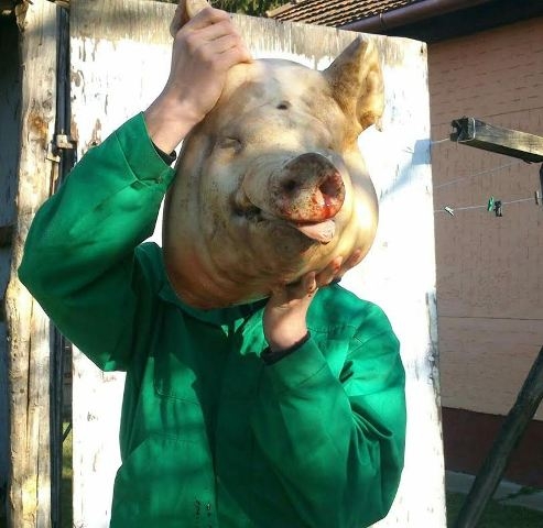 Disznóvágás volt a faluban