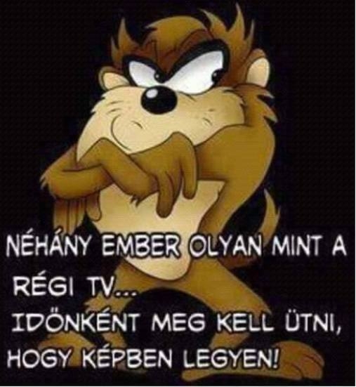 Vasárnapi tényfeltáró