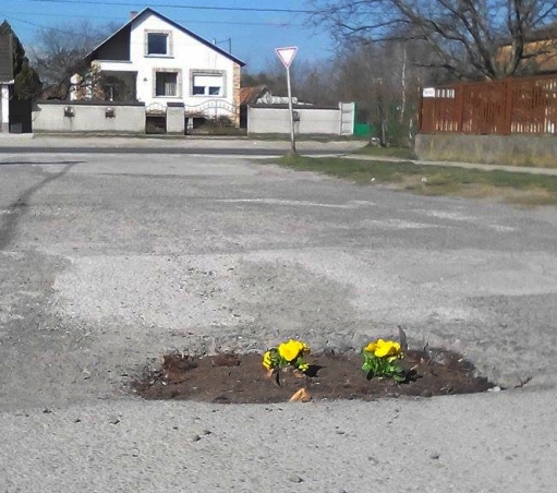 Kiskunlacházán megelégelték a kátyúkat, valaki virágot ültetett bele...
