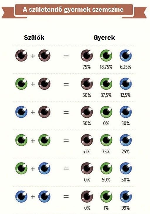 Megmutattam a kék szemű szomszédoknak...