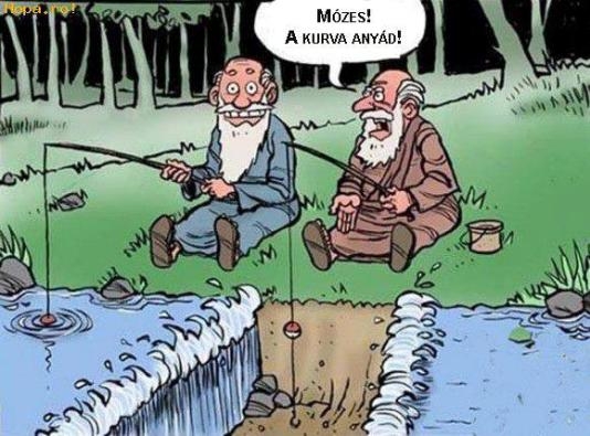 Most már elég legyen!