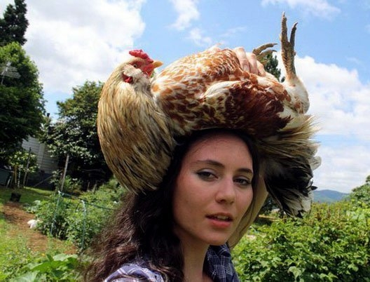 Falun is töretlen a szelfi láz...