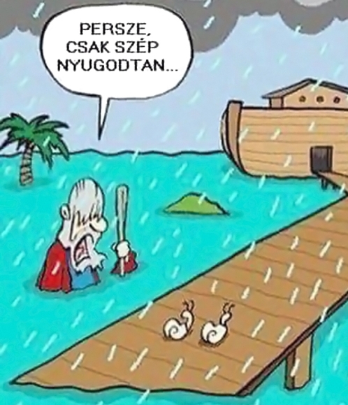 Noé kissé türelmetlen