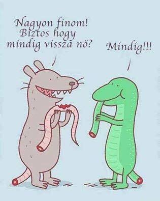 Napi elgondolkodtató