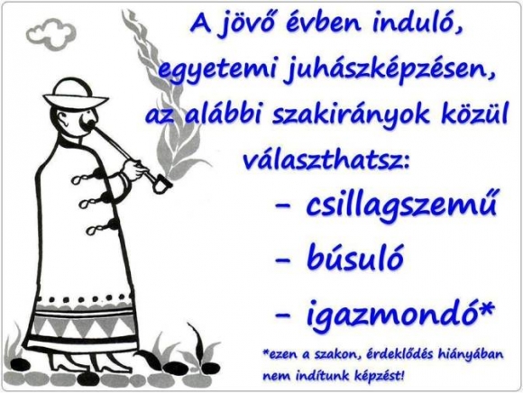 Új szakok az egyetemen