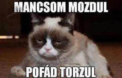 Holnap hétfő, van aki már hangulatba került 😮