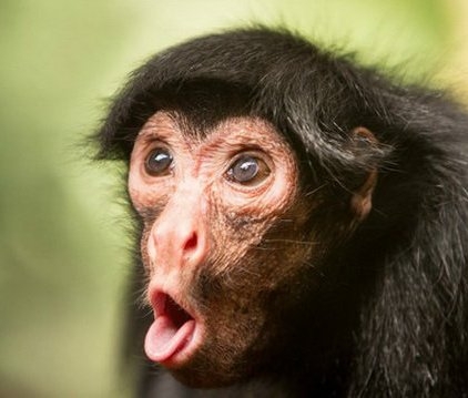 Ilyen fejet vágsz, amikor...