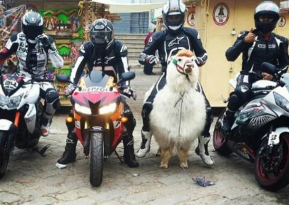 Nincs pénz benzinre