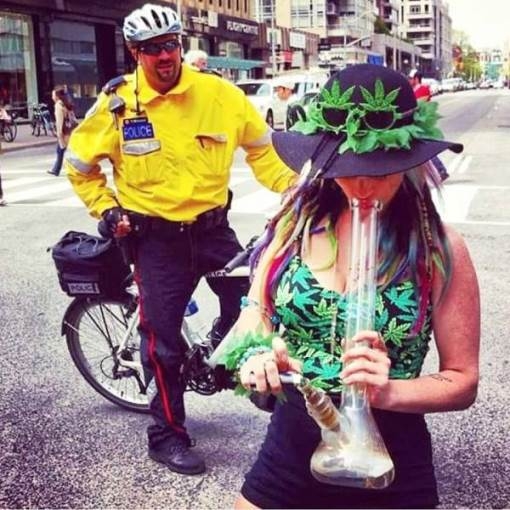 Indul a péntek este