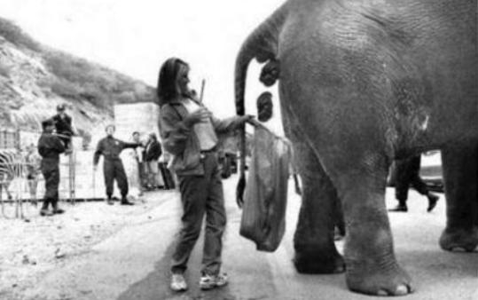 Mielőtt elkezdenél panaszkodni, hogy szar a munkád...