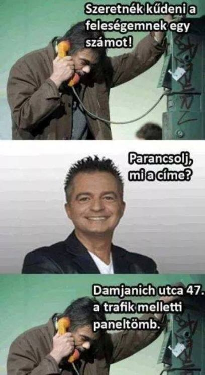 Vasárnap hajnali kívánságműsor Cookyval