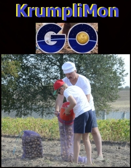 Krumplimon GO - Gyűjtsd össze mindet!