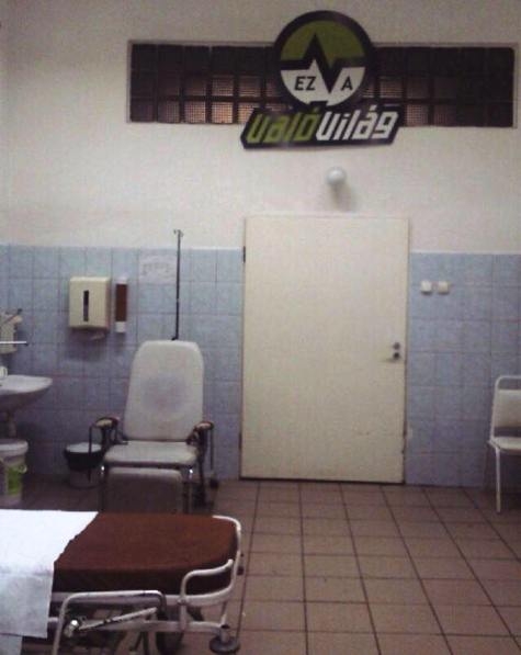 Eközben a detoxikálóban...