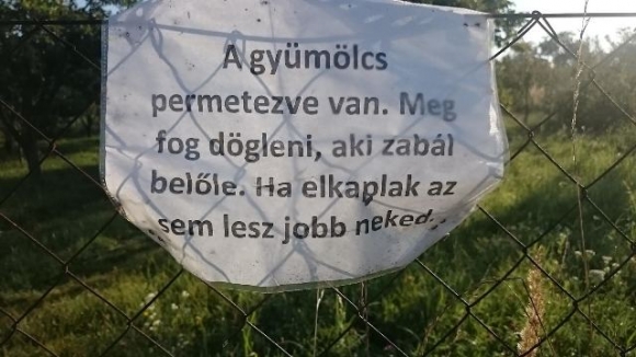 Egy finoman megfogalmazott info Gödöllő határában