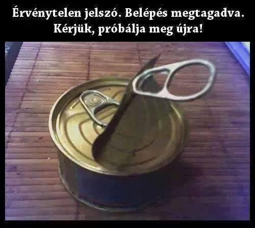 Biztonsági rendszer