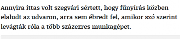 A hónap dolgozója egy Csongrád megyei betyár lett