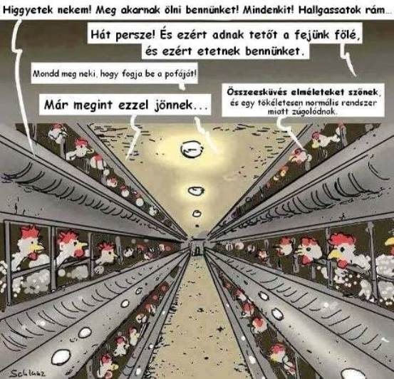 Napi elgondolkodtató