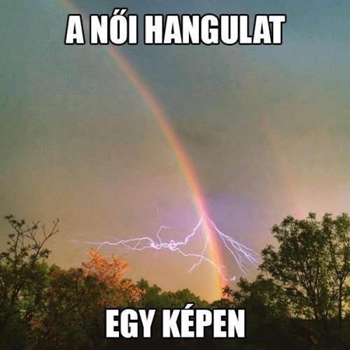 Vasárnapi tényfeltáró