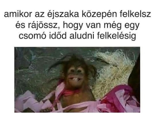 Az élet apró örömei