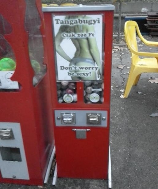 A kecskeméti szabadidőközpontban mindenre gondolnak