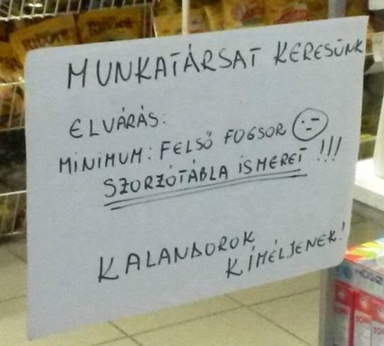 Egy újabb állásajánlat, minimális elvárásokkal!