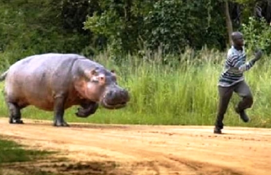 Kiderült miért a kenyai futók nyerik évek óta az Olimpiát