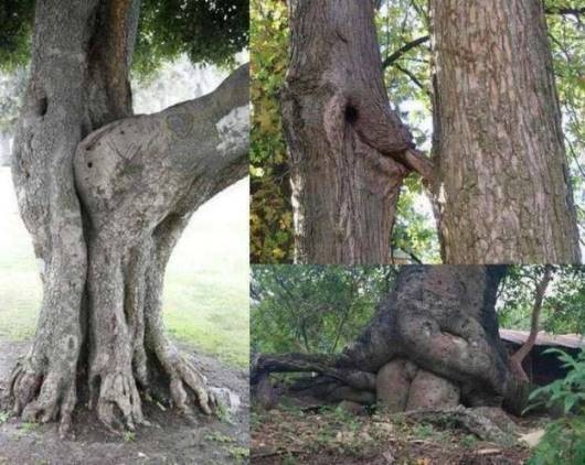 Napiszar természetfotó verseny