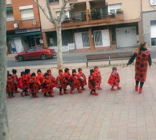 Még csak 3 évesek, de már hülyét csinálnak belőlük