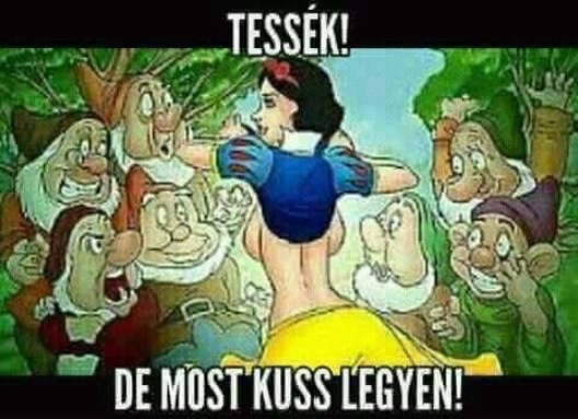 Ma jól indult a törpék napja