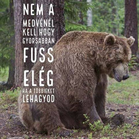 Bizarr tényfeltáró