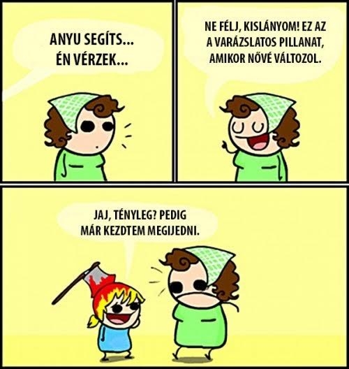 Napi bizzar