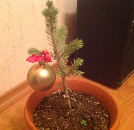 Egy alacsony költségvetésű megoldás